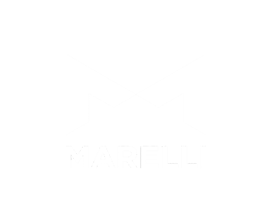 laser-marking-for-marelli-1 Homepage